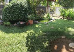 Seletar Hills Estate (D28), Semi-Detached #146630682